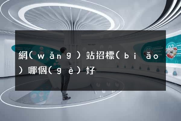 網(wǎng)站招標(biāo)哪個(gè)好