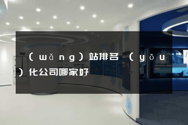 網(wǎng)站排名優(yōu)化公司哪家好