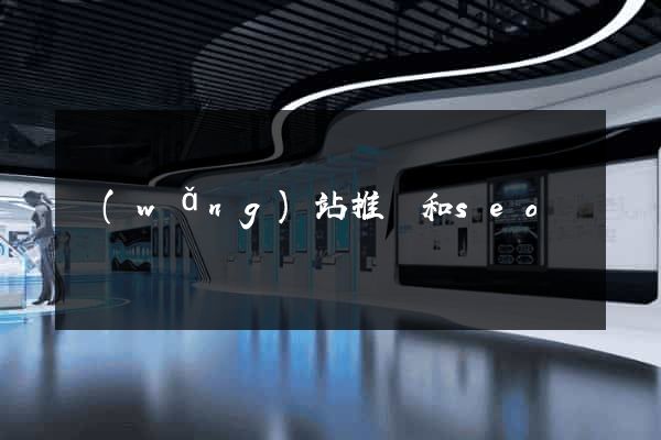 網(wǎng)站推廣和seo