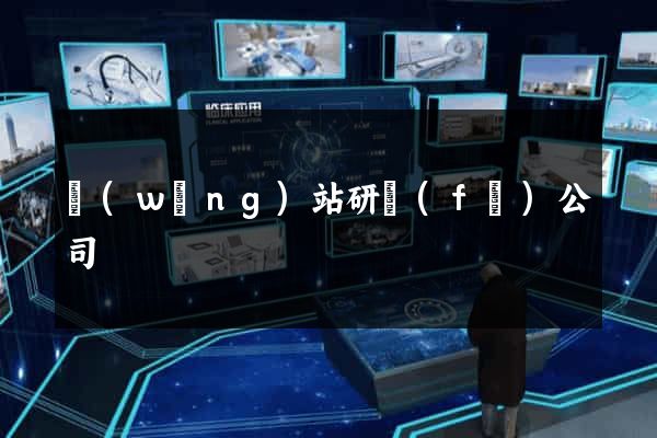 網(wǎng)站研發(fā)公司