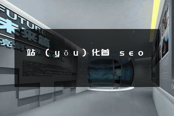 網站優(yōu)化首頁seo