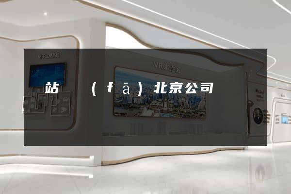 網站開發(fā)北京公司
