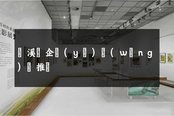 績溪縣企業(yè)網(wǎng)絡推廣