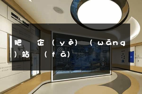肥東縣企業(yè)網(wǎng)站開發(fā)