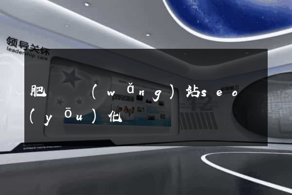 肥東縣網(wǎng)站seo優(yōu)化