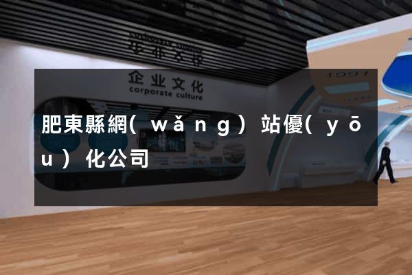 肥東縣網(wǎng)站優(yōu)化公司