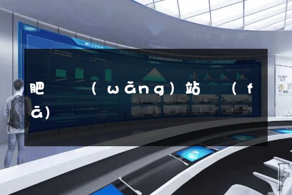 肥東縣網(wǎng)站開發(fā)