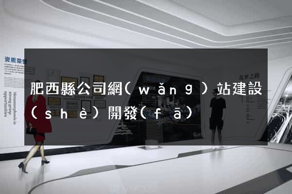 肥西縣公司網(wǎng)站建設(shè)開發(fā)