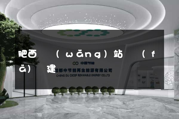 肥西縣網(wǎng)站開發(fā)與建設