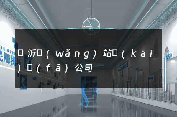 臨沂網(wǎng)站開(kāi)發(fā)公司