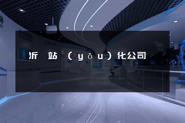 臨沂網站優(yōu)化公司