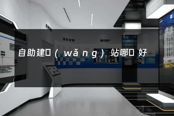 自助建網(wǎng)站哪個好