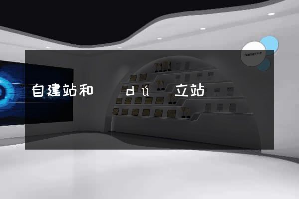 自建站和獨(dú)立站