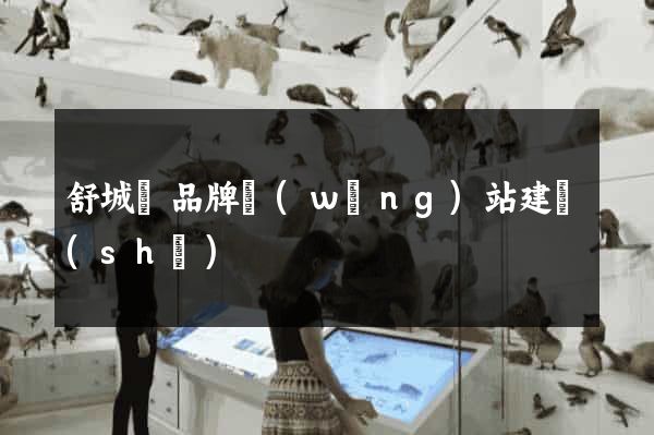 舒城縣品牌網(wǎng)站建設(shè)