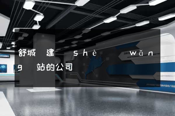 舒城縣建設(shè)網(wǎng)站的公司