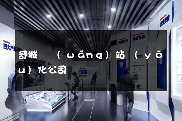 舒城縣網(wǎng)站優(yōu)化公司