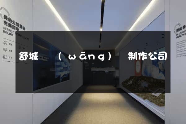 舒城縣網(wǎng)頁制作公司