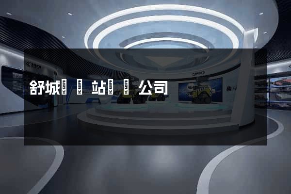 舒城縣網站設計公司