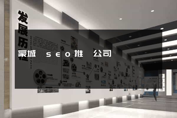 蒙城縣seo推廣公司