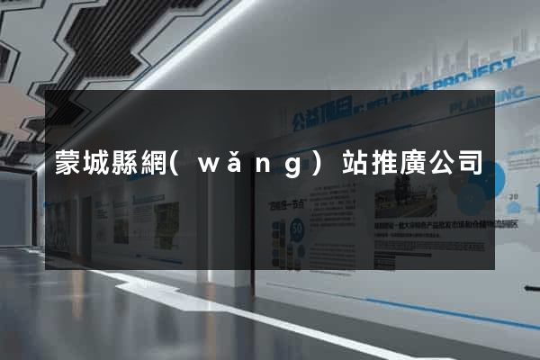 蒙城縣網(wǎng)站推廣公司