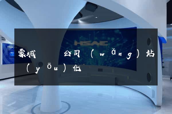蒙城縣設計公司網(wǎng)站優(yōu)化