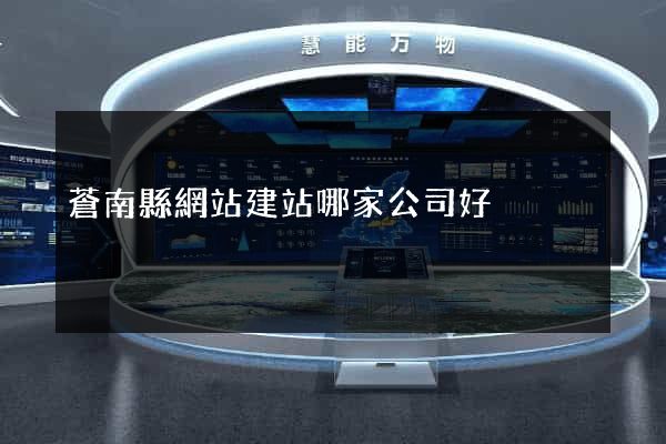 蒼南縣網站建站哪家公司好