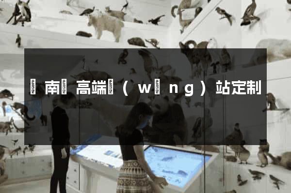 蒼南縣高端網(wǎng)站定制