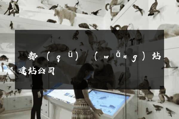 蓮都區(qū)網(wǎng)站建站公司