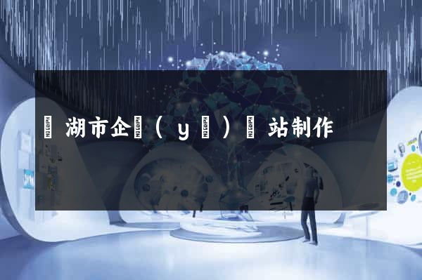 蕪湖市企業(yè)網站制作