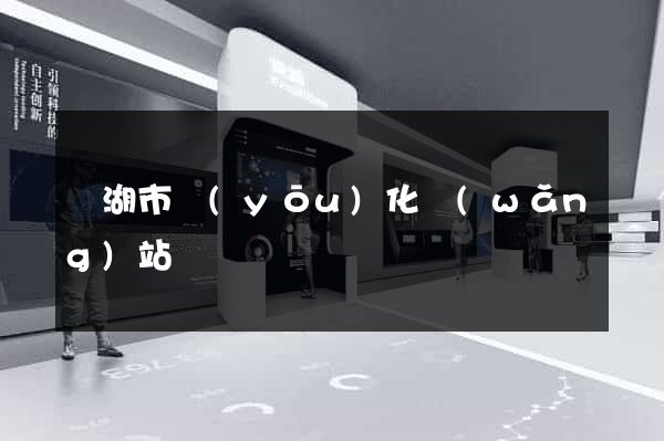 蕪湖市優(yōu)化網(wǎng)站