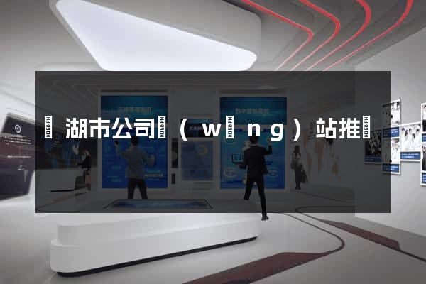 蕪湖市公司網(wǎng)站推廣
