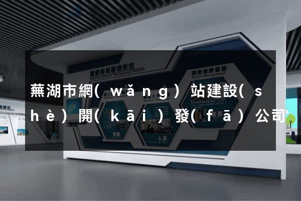 蕪湖市網(wǎng)站建設(shè)開(kāi)發(fā)公司