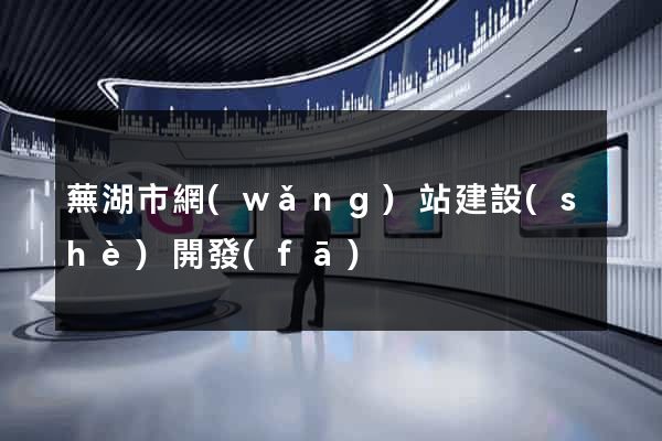 蕪湖市網(wǎng)站建設(shè)開發(fā)
