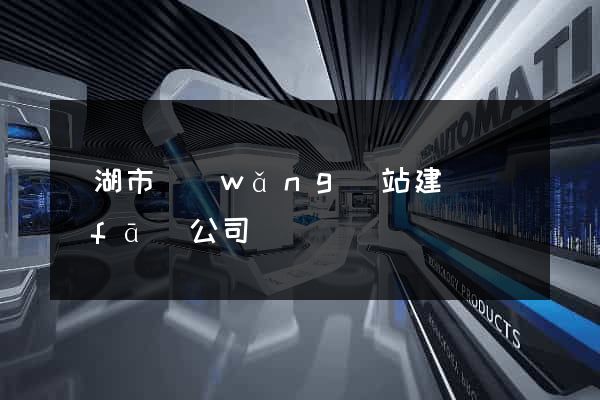 蕪湖市網(wǎng)站建設開發(fā)公司