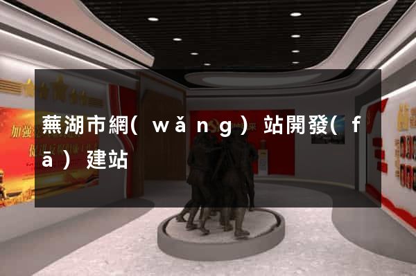 蕪湖市網(wǎng)站開發(fā)建站