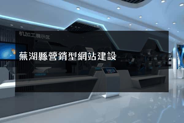 蕪湖縣營銷型網站建設