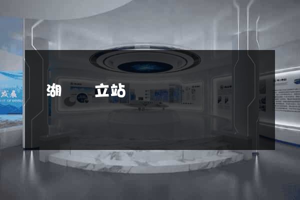 蕪湖縣獨立站運營