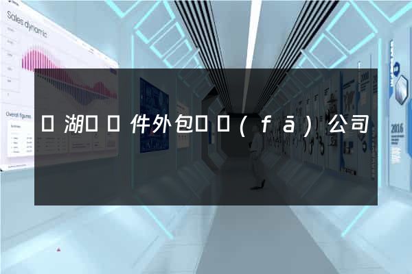 蕪湖縣軟件外包開發(fā)公司