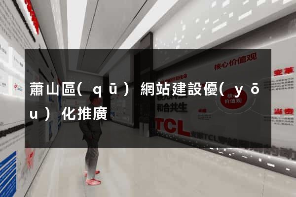蕭山區(qū)網站建設優(yōu)化推廣