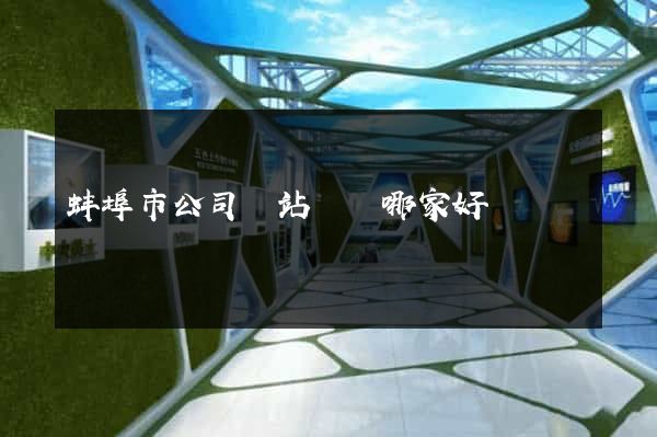 蚌埠市公司網站設計哪家好
