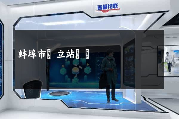 蚌埠市獨立站運營