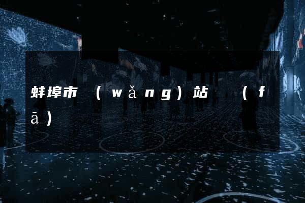 蚌埠市網(wǎng)站開發(fā)