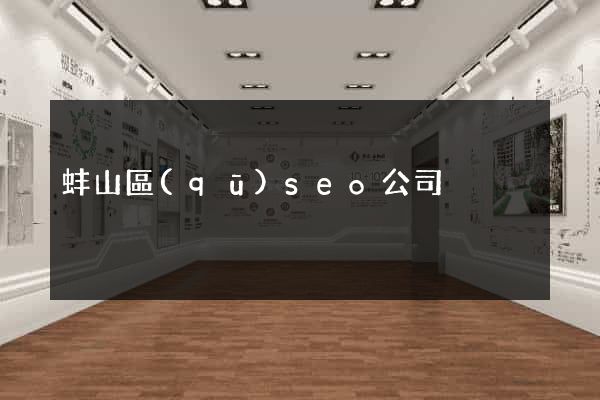 蚌山區(qū)seo公司