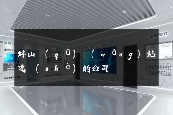 蚌山區(qū)網(wǎng)站建設(shè)的公司