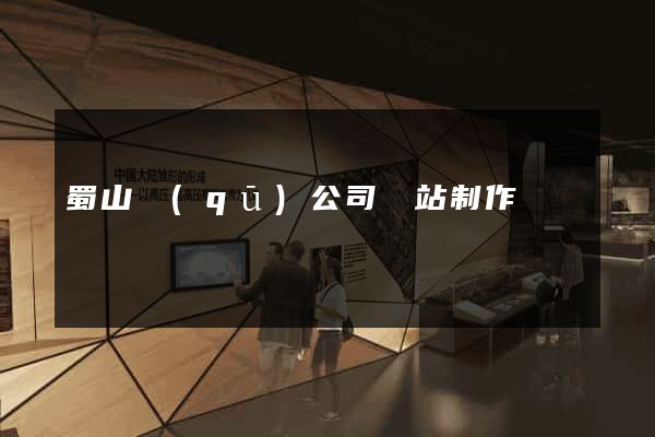 蜀山區(qū)公司網站制作