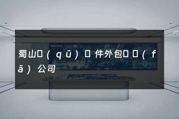 蜀山區(qū)軟件外包開發(fā)公司