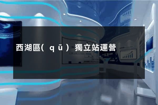 西湖區(qū)獨立站運營