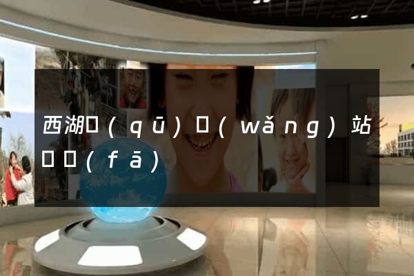 西湖區(qū)網(wǎng)站開發(fā)