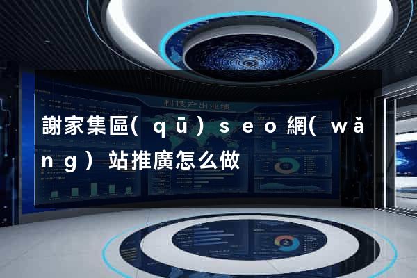 謝家集區(qū)seo網(wǎng)站推廣怎么做
