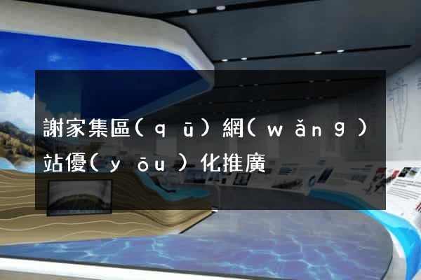 謝家集區(qū)網(wǎng)站優(yōu)化推廣